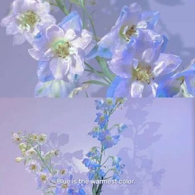 足球赌注软件手机app下载